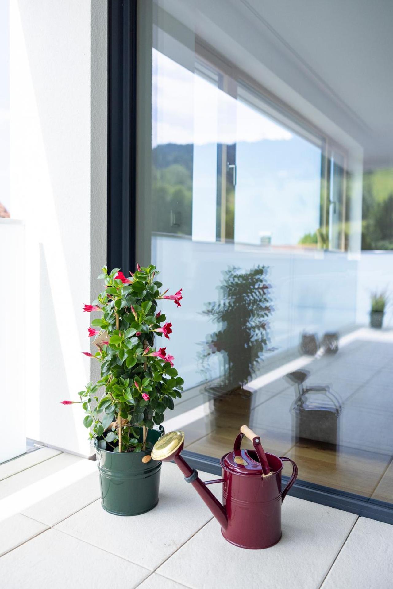Bodensee Bergblick Suite ロッハウ・バイ・ブレゲンツ エクステリア 写真